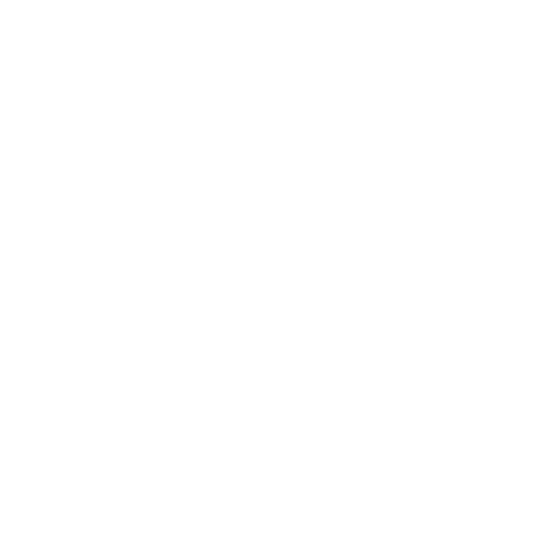 Apola AI Logo